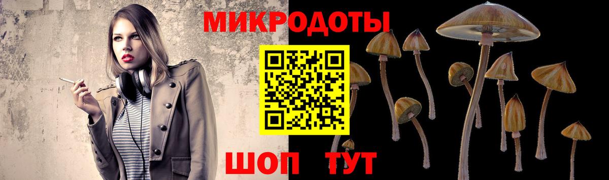 Спасск-Дальний  Галлюциногенные грибы Cubensis  Вход с VPN 